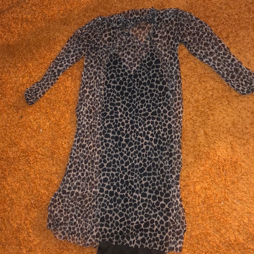 Zara see thru dress with slip underneath